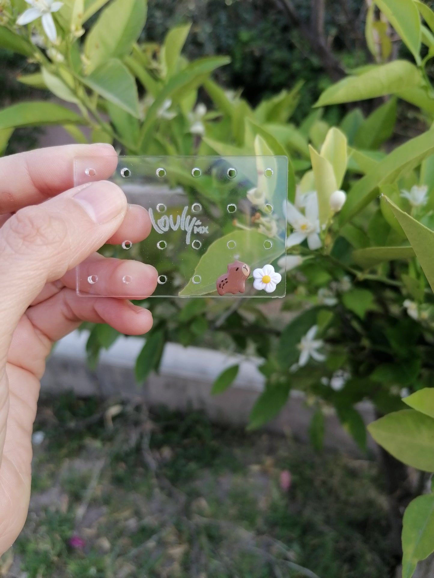 Aretes mini Capibara